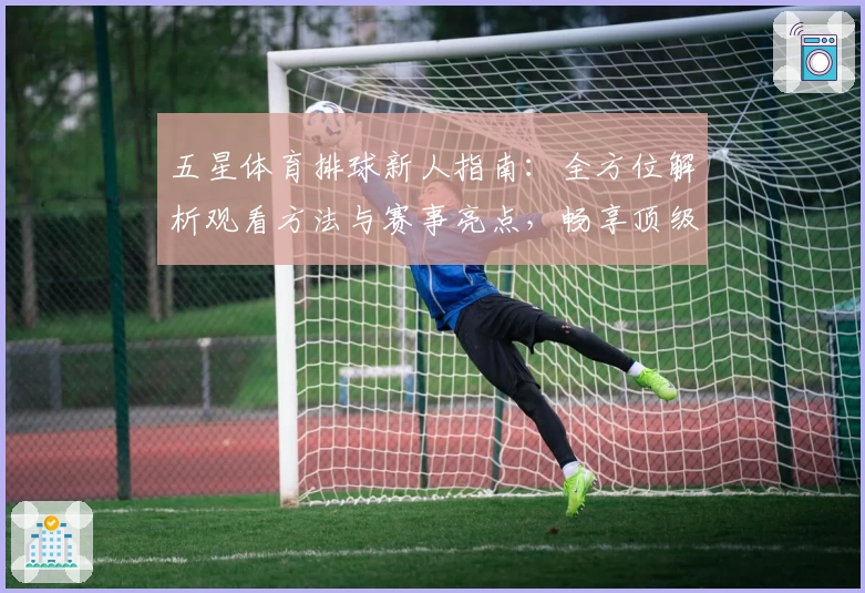 五星体育排球新人指南：全方位解析观看方法与赛事亮点，畅享顶级排球赛事体验