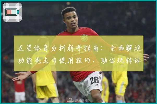 五星体育分析新手指南：全面解读功能亮点与使用技巧，助你玩转体育世界
