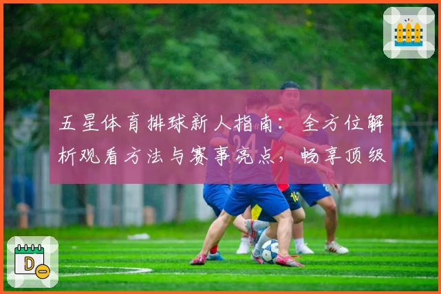 五星体育排球新人指南：全方位解析观看方法与赛事亮点，畅享顶级排球赛事体验