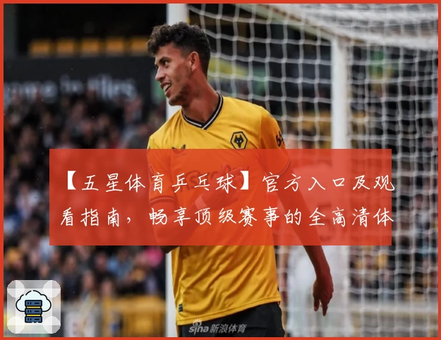 【五星体育乒乓球】官方入口及观看指南，畅享顶级赛事的全高清体验