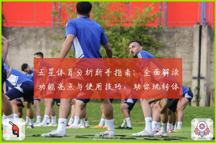 五星体育分析新手指南：全面解读功能亮点与使用技巧，助你玩转体育世界
