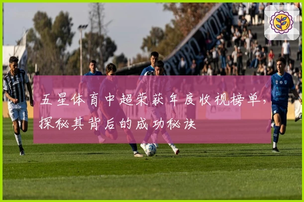 五星体育中超荣获年度收视榜单，探秘其背后的成功秘诀